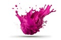 Fabulous splash magenta paint on white background