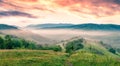 Fabulous summer sunrise in Carpathian mountains. Misty morning scene of green mountain valley, Transcarpathian, Rika village