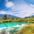 Fabulous summer view on Zelenci lake with beautiful reflections in water