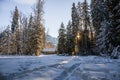 Fabulous sunset - a winter forest, snow-covered trees, sun rays and a blue sky. Nature Royalty Free Stock Photo