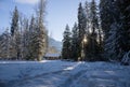 Fabulous sunset - a winter forest, snow-covered trees, sun rays and a blue sky. Nature Royalty Free Stock Photo