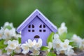 Fabulous, toy house and Jasmine flowers on a natural green background, a concept of  summer mood, happiness. Concept cozy home, Royalty Free Stock Photo