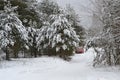 A fabulous trip in a small red car along a snow-white rural road in a winter forest among coniferous trees covered with snow Royalty Free Stock Photo