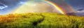 A fabulous view of a green field and a rainbow. Long banner with a meadow with long green grass and a rainbow