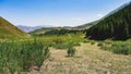 A fabulous view of the mountain peaks, amazing nature, summer in the mountains. Beautiful background