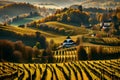 Fabulous vineyards landscape Autumn scene of grape hills in popular travell destination