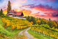 Fabulous vineyards landscape in South Styria near Gamlitz Royalty Free Stock Photo