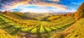 Fabulous vineyards landscape in South Styria near Gamlitz Royalty Free Stock Photo