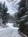 Fabulous winter forest Royalty Free Stock Photo