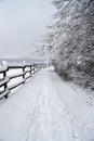 Vertical shot of winter corral landscape Royalty Free Stock Photo