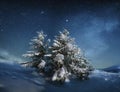 fabulous winter landscape in the mountains at night. Christmas tree under the night starry sky and the milky way Royalty Free Stock Photo