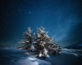 fabulous winter landscape in the mountains at night. Christmas tree under the night starry sky and the milky way Royalty Free Stock Photo