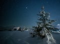 fabulous winter landscape in the mountains at night. Christmas tree under the night starry sky and the milky way Royalty Free Stock Photo