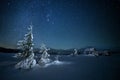 fabulous winter landscape in the mountains at night. Christmas tree under the night starry sky and the milky way Royalty Free Stock Photo