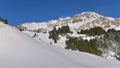 Fabulous winter snowy landscape, in the mountains with green pines