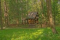 A fabulous wooden house in a summer mixed forest is lit by the rays of the sun Royalty Free Stock Photo