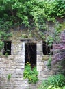 Facade of an abandoned stone rural house with empty windows and doorway overgrown with colorful weeds ivy and wildflowers