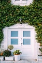 Facade of the building is entwined with green ivy with a white door Royalty Free Stock Photo