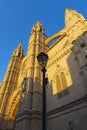 Facade of the cathedral of Palma Royalty Free Stock Photo