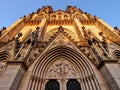 The facade of the cathedral of St. Wenceslaus Royalty Free Stock Photo