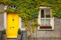 Window surrounded by ivy. Kilkenny. Ireland