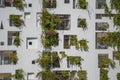 Facade of ecological buildings with green plants on the stone white wall of the house on street, Vietnam Royalty Free Stock Photo