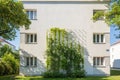 Facade greening with climbing plants in Vienna Favoriten