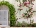 Facade of Historic Building Covered By Ivy and Roses