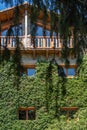 Facade of a house covered with greenery. View through the branches of tree.