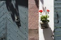 Facade of a house with a pot with geraniums