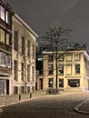 Facade of a house with shadow of a bare tree at night in Ghent