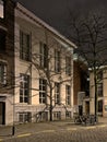 Facade of a house with shwadow of a bare tree at night in Ghent