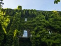 Facade of a house surrounded by greenery, ivy and vines covering a house. Milan, Brera botanical garden. Italy