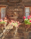 Facade of houses with their windows Royalty Free Stock Photo