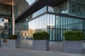 The facade of a modern glass office building or business center decorated with ornamental shrubs