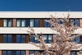 Facade Of Modern Office Building With Spring Blossoming Apple Tree