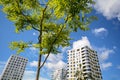 Facade of modern residential towers in a green environment, sustainable buildings Royalty Free Stock Photo