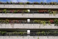 facade of multistory parking garage being converted into green wall with plants Royalty Free Stock Photo
