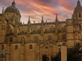 Facade of the New Cathedral of Salamanca, Spain Royalty Free Stock Photo