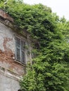 Facade of an old damaged house surrounded by vegetation Royalty Free Stock Photo