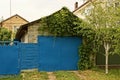 Facade of an old garage overgrown with green vegetation with blue gates on the street in the grass