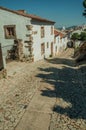 Facade of old houses in cobblestone alley