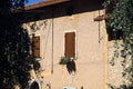 Facade of an old mansion framed by olive trees Royalty Free Stock Photo