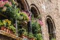 Facade of an old palazzo in Venice with a balcony decorated with blooming flowers and green plants. Small flower oasis in the midd