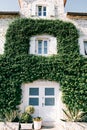Facade of an old stone house overgrown with green ivy Royalty Free Stock Photo