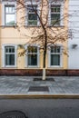 Facade of old yellow building in Moscow on the street Ulitsa Bol'shaya Yakimanka, 4-6. Young tree in front of house Royalty Free Stock Photo