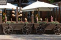 The facade of an open summer restaurant Royalty Free Stock Photo