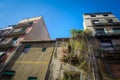 Facade with overgrown ivy