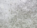 Facade plaster concrete wall background texture outdoors Royalty Free Stock Photo