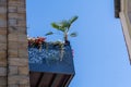 Steel balcony with flowers and palm